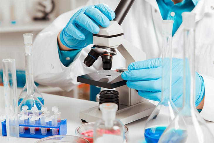 estrutura tecnica de um laboratorio de analises clinicas